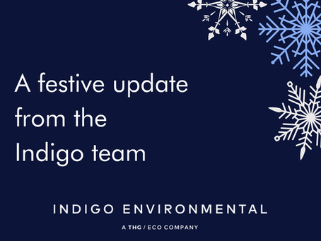 A festive update from the Indigo team